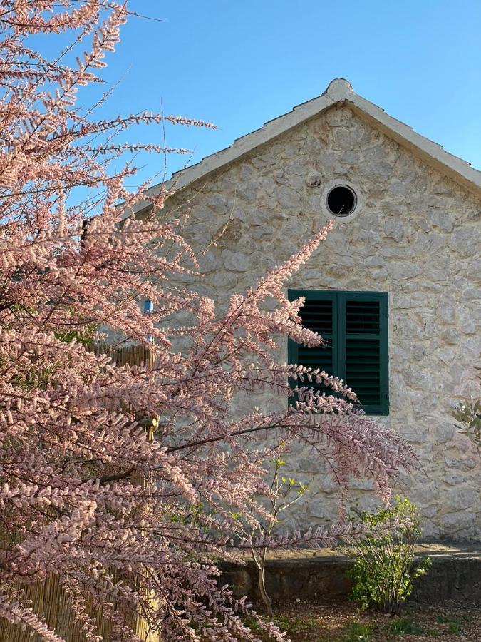 Вилла Mediterranean Olive Waterfallskrka-Croatia Gulin Экстерьер фото
