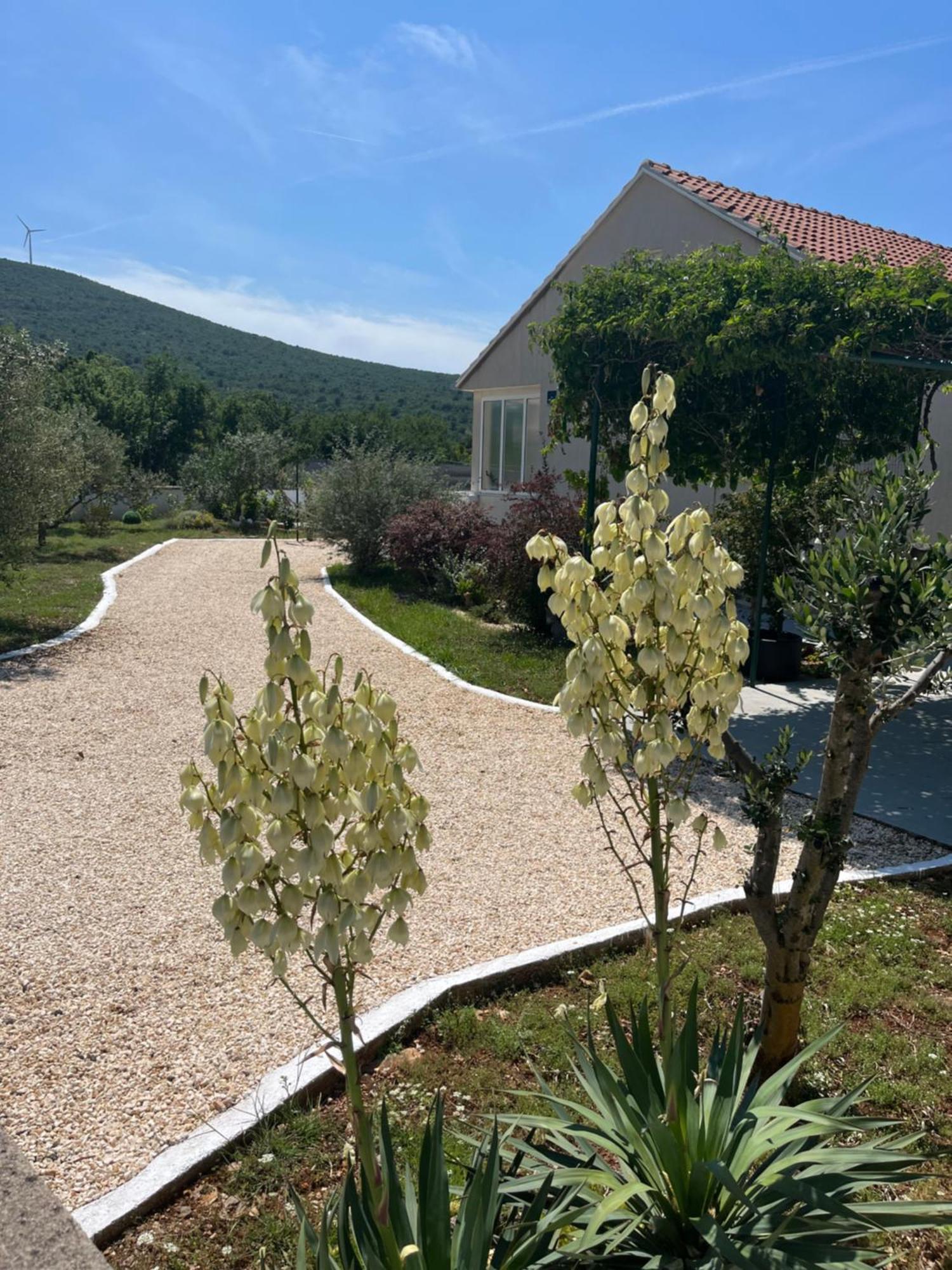 Вилла Mediterranean Olive Waterfallskrka-Croatia Gulin Экстерьер фото